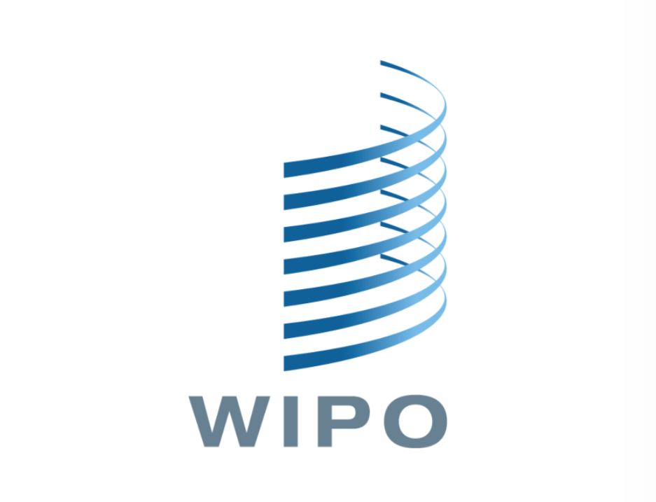 INEPHCO_Mohammad_ehsani_WIPO